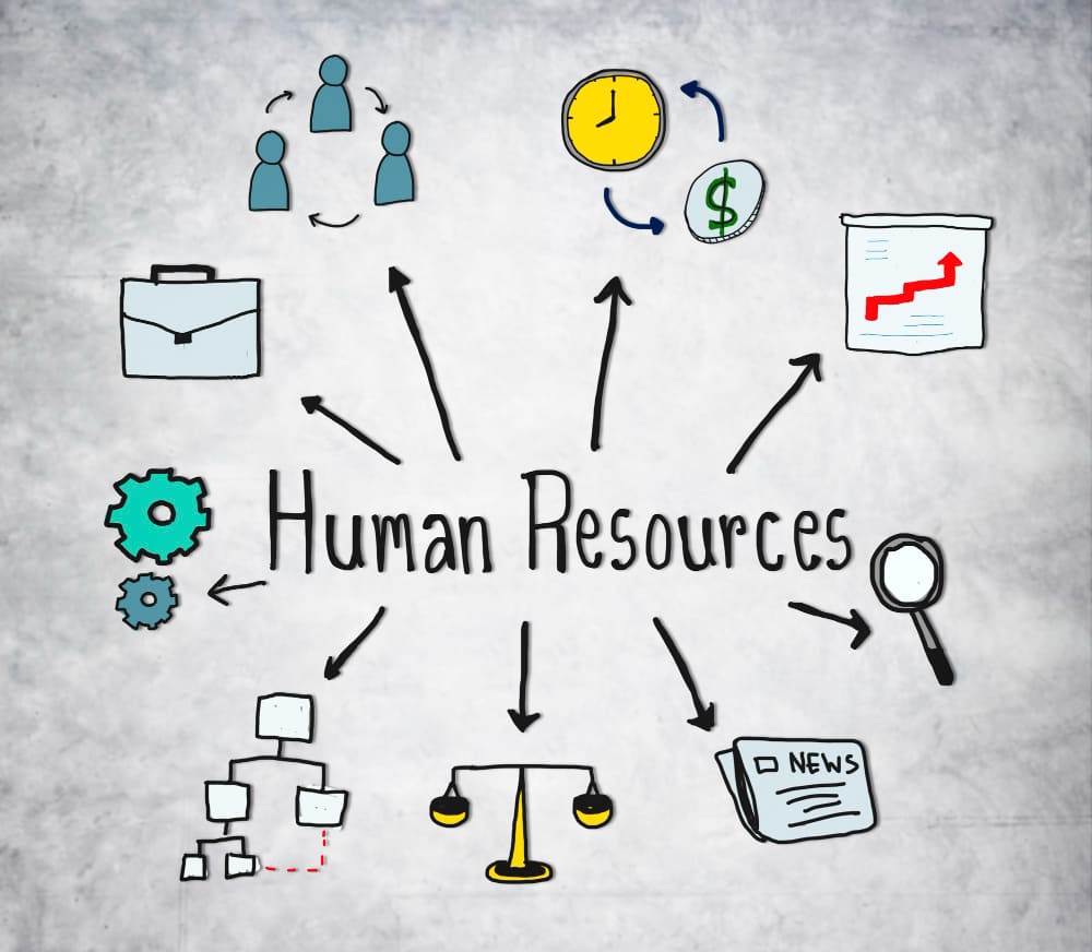 Role of HR Service Providers for Businesses in the UAE